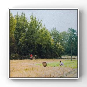 亚洲欧美色影视
